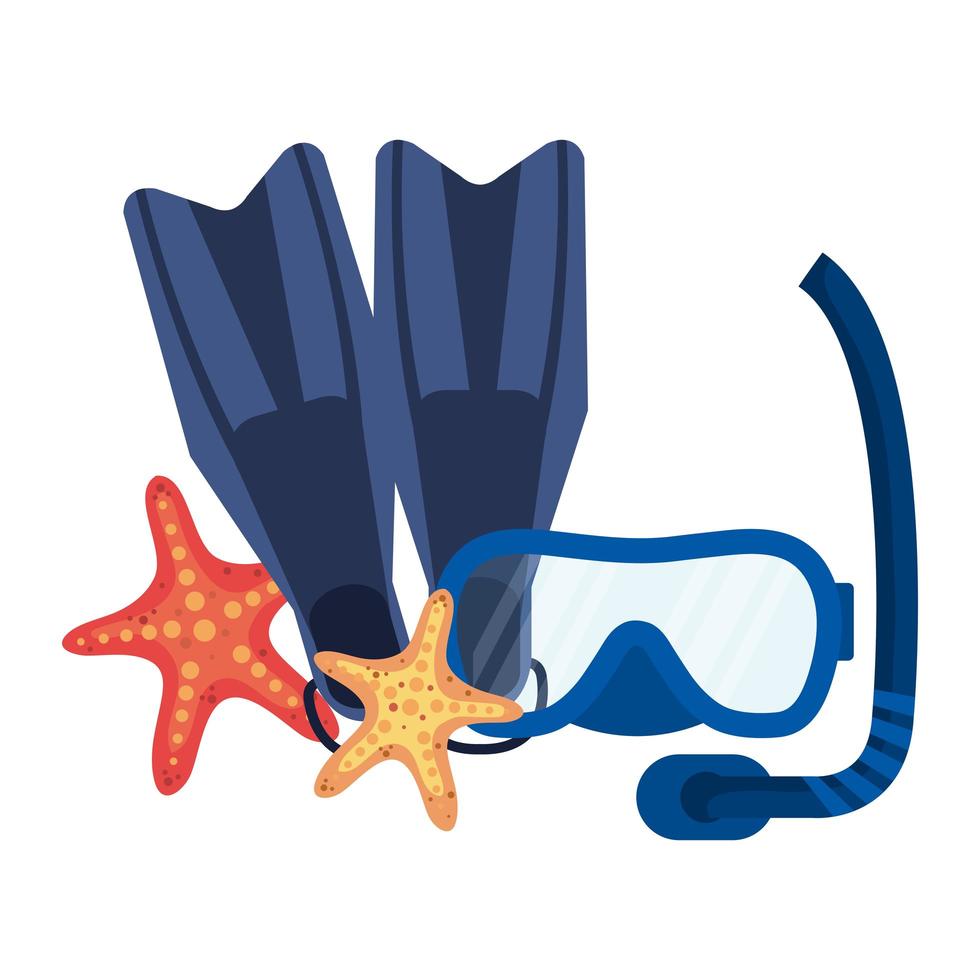 diving snorkel mask and fins with starfish vector