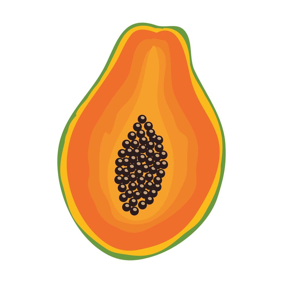 fresh papaya fruit healthy food vector