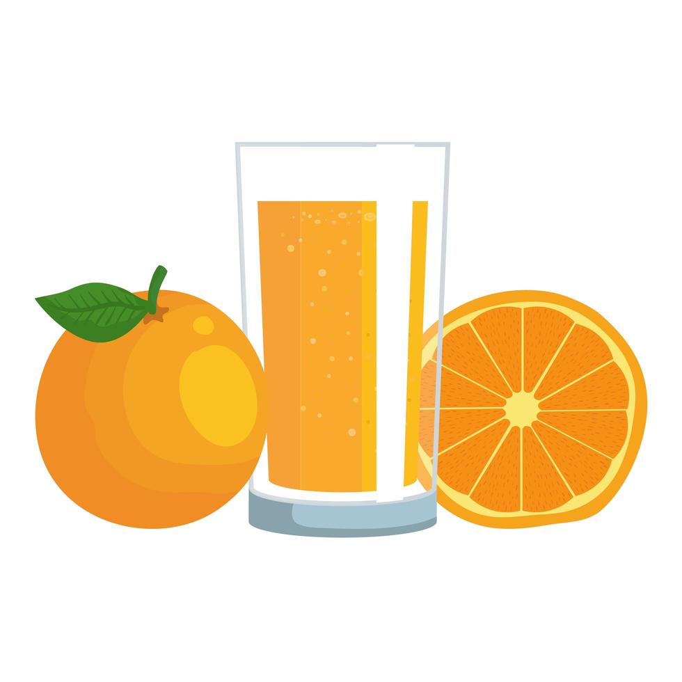 orange juice citrus fruit with glass vector