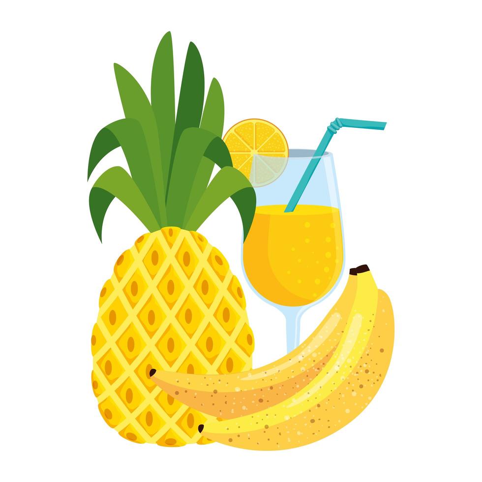 summer fresh fruit pineapple with cocktail and bananas vector