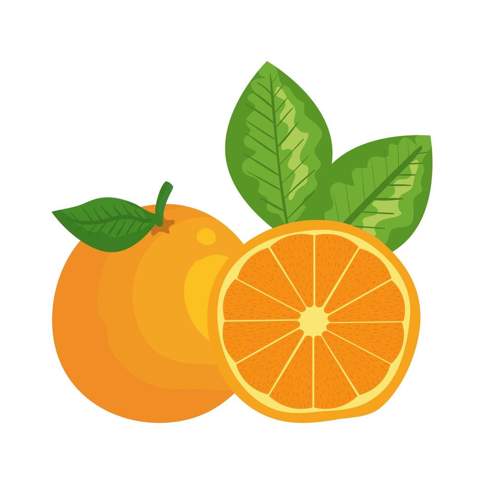 icono de fruta cítrica naranja fresca vector