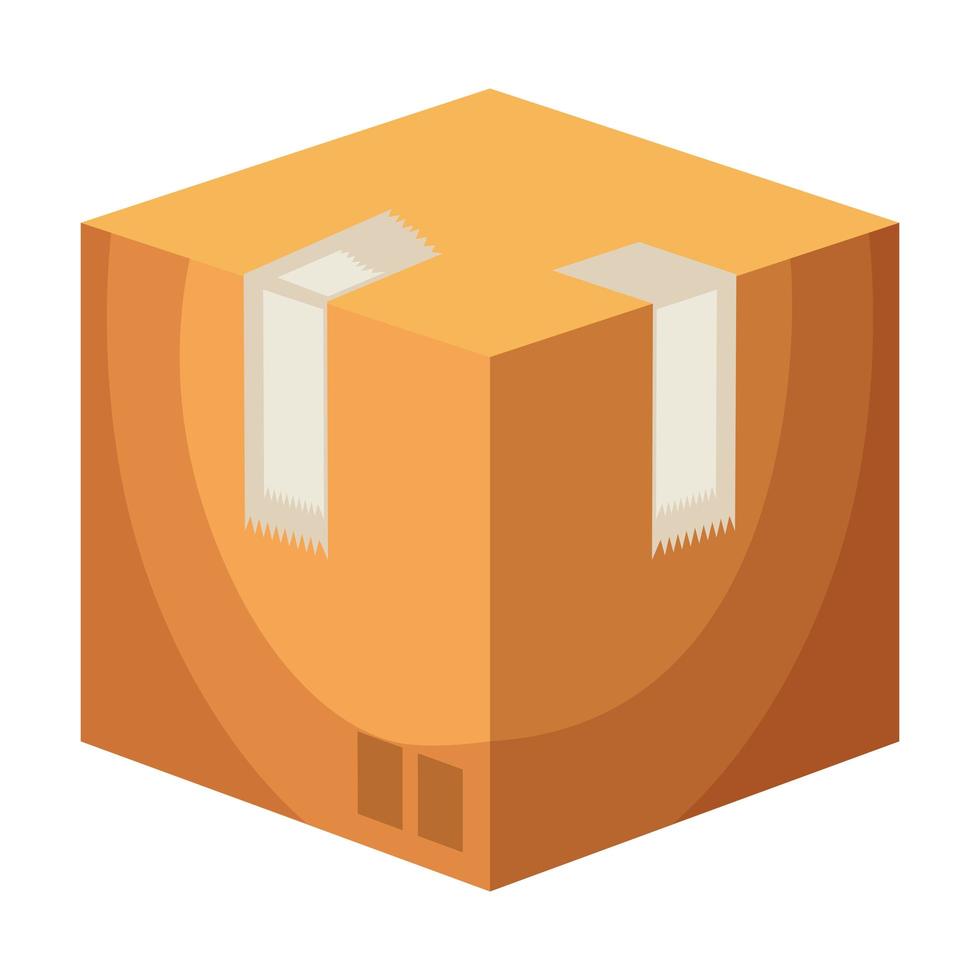 box carton packing delivery service vector