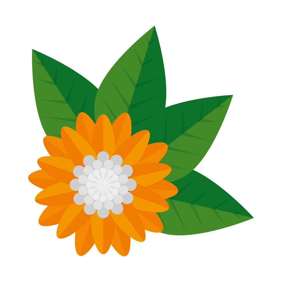 flower hindu decorative isolated icon vector