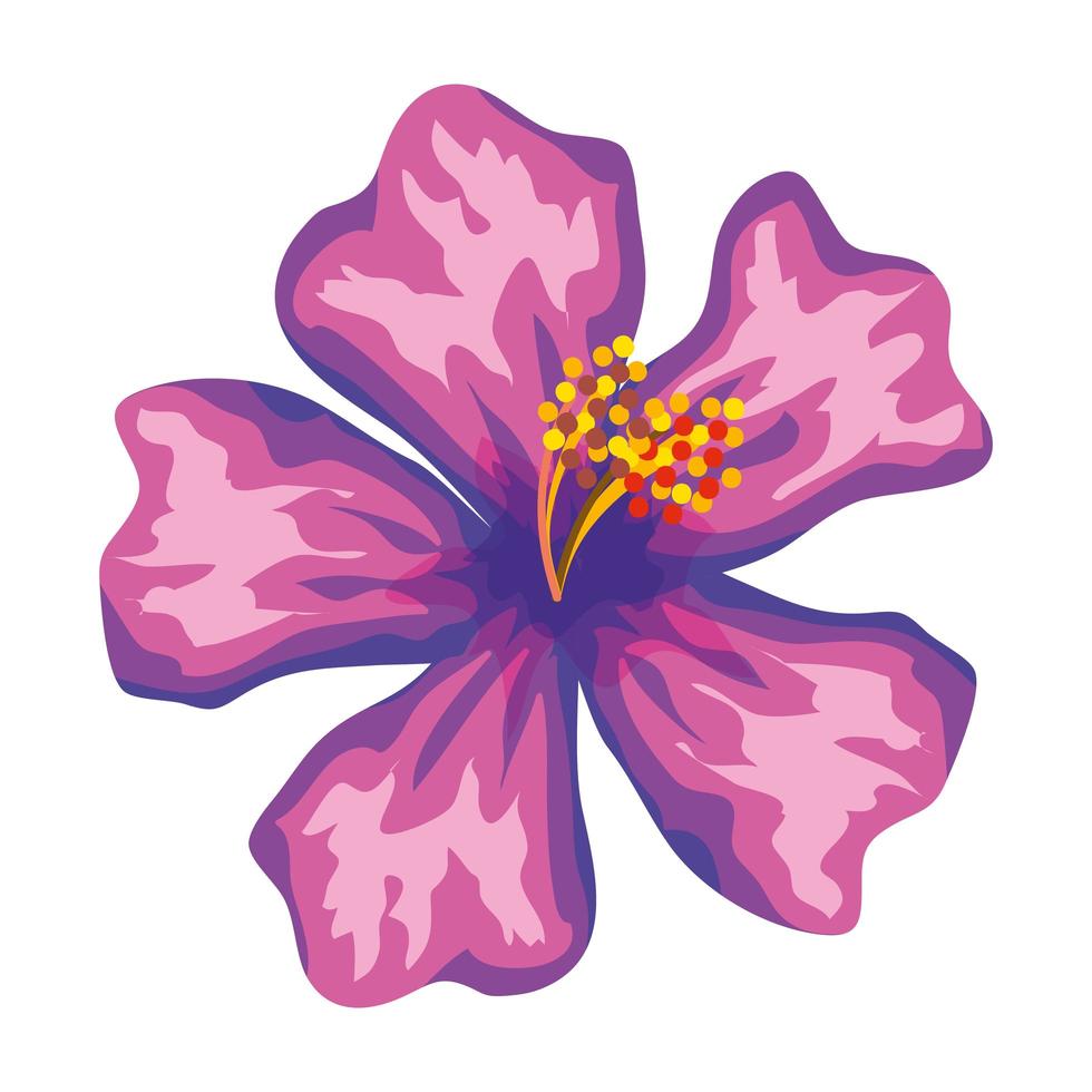 beautiful flower exotic tropical icon vector