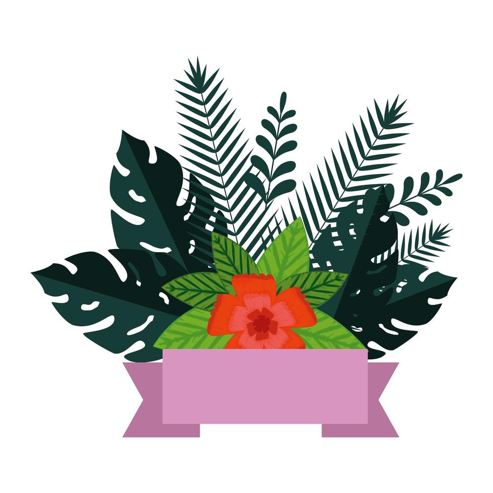 summer leafs plants and flowers decoration vector