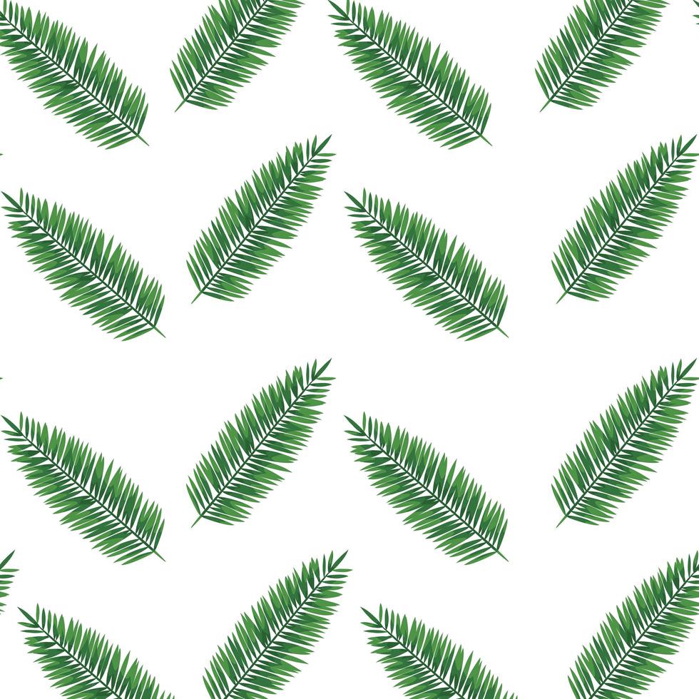 exotic leafs palms tropical pattern vector