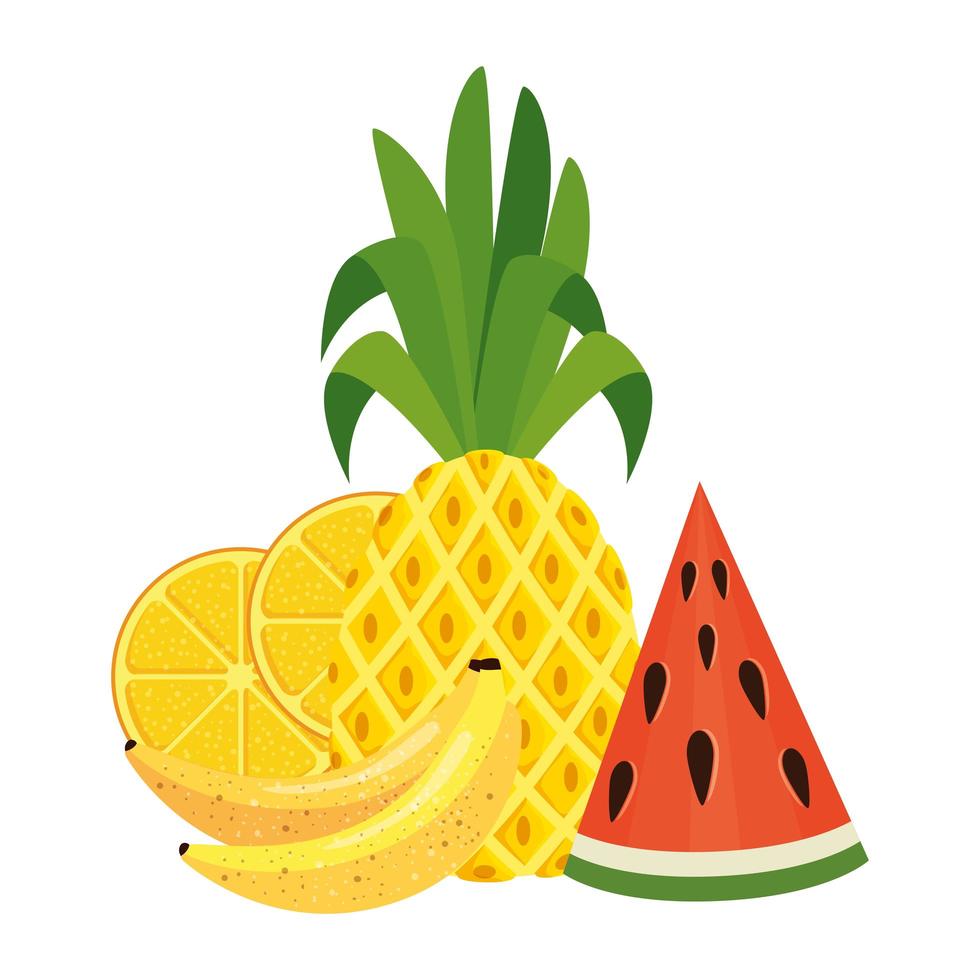 summer fresh fruits nature icons vector