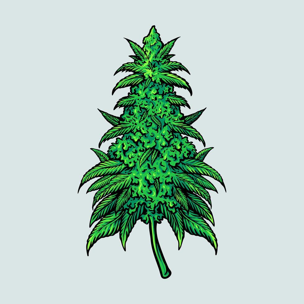 Medical Cannabis Leaf Plant vector