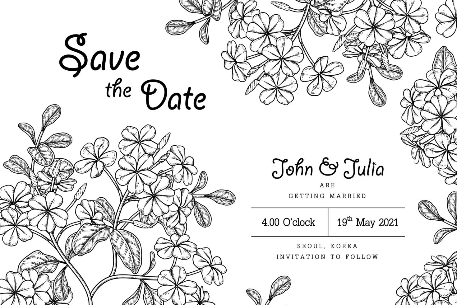 Plumbago auriculata or Cape Leadwort flower Hand Drawn Illustrations. Invitation card vector