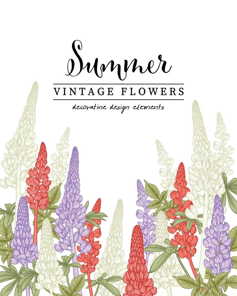 Lupin flowers drawings Invitation card vector