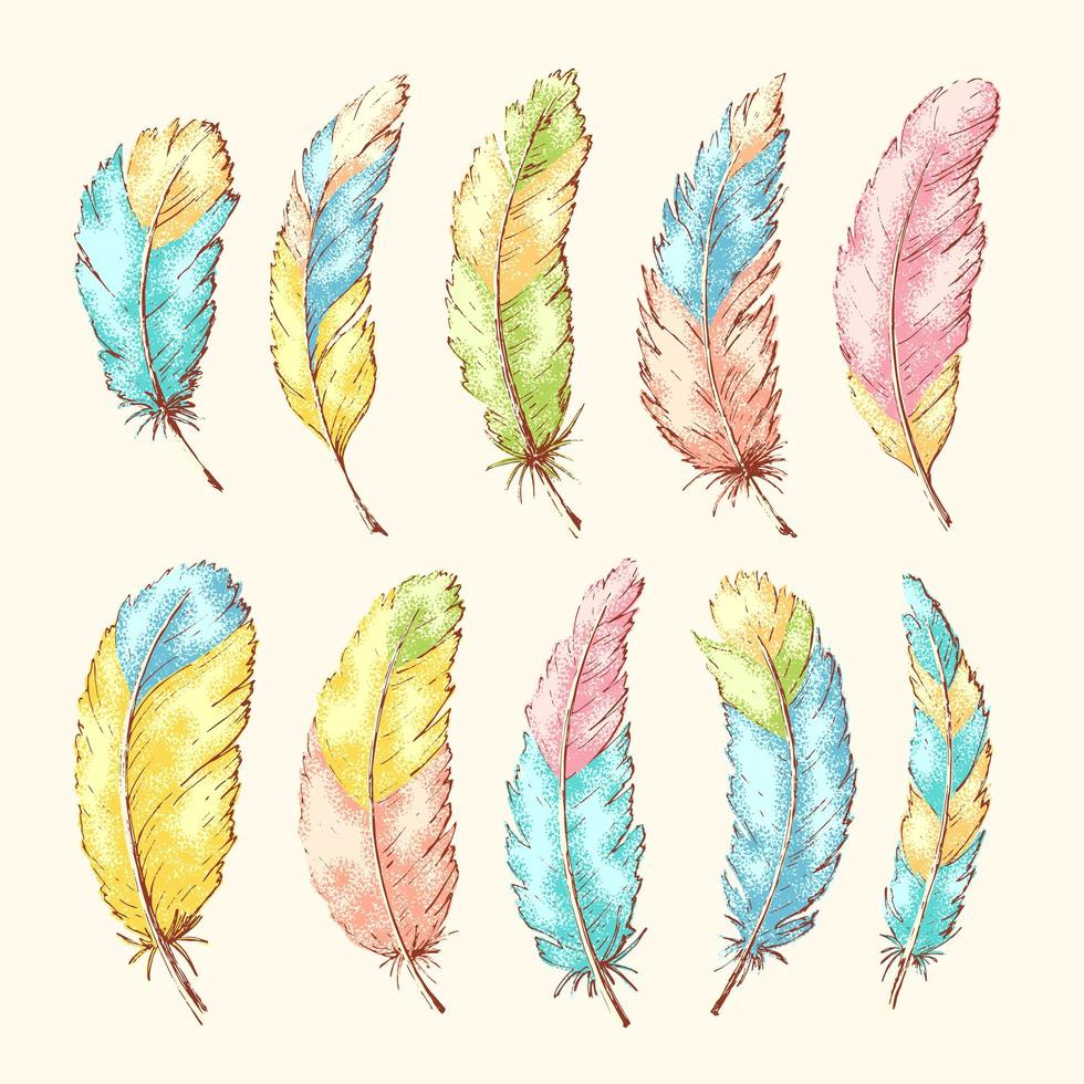Hand drawn feathers vector