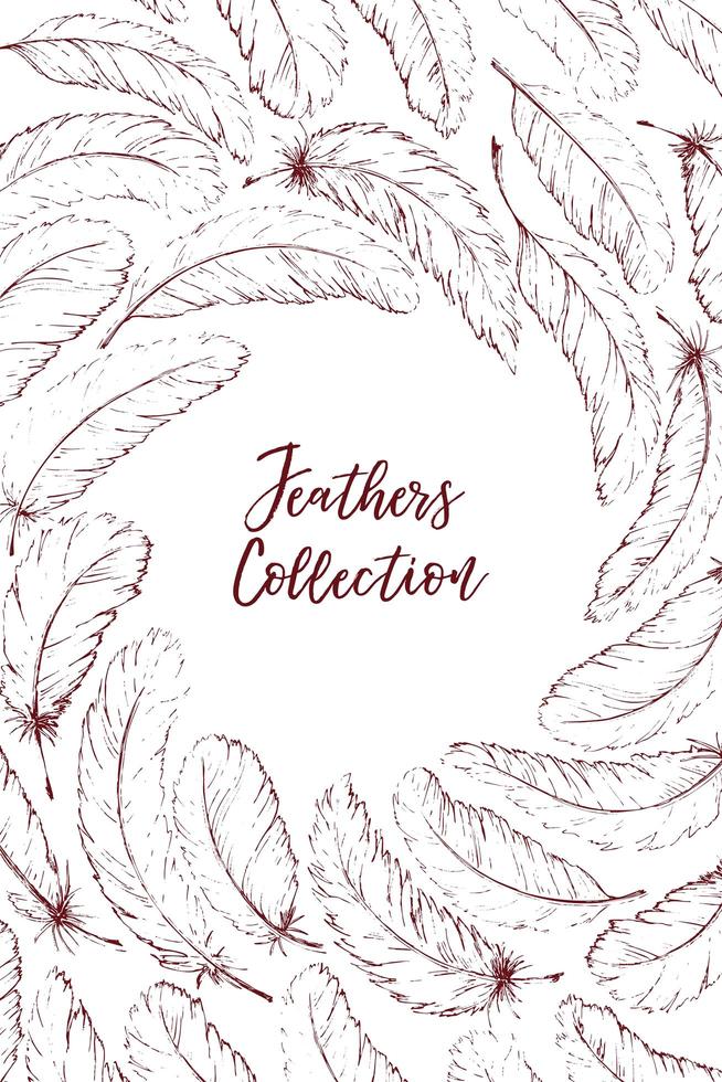 Hand drawn feathers vector