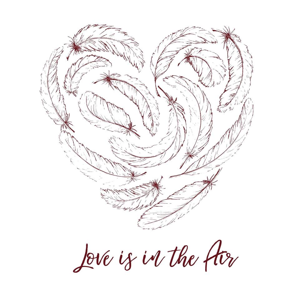 Hand drawn feathers in heart shape vector