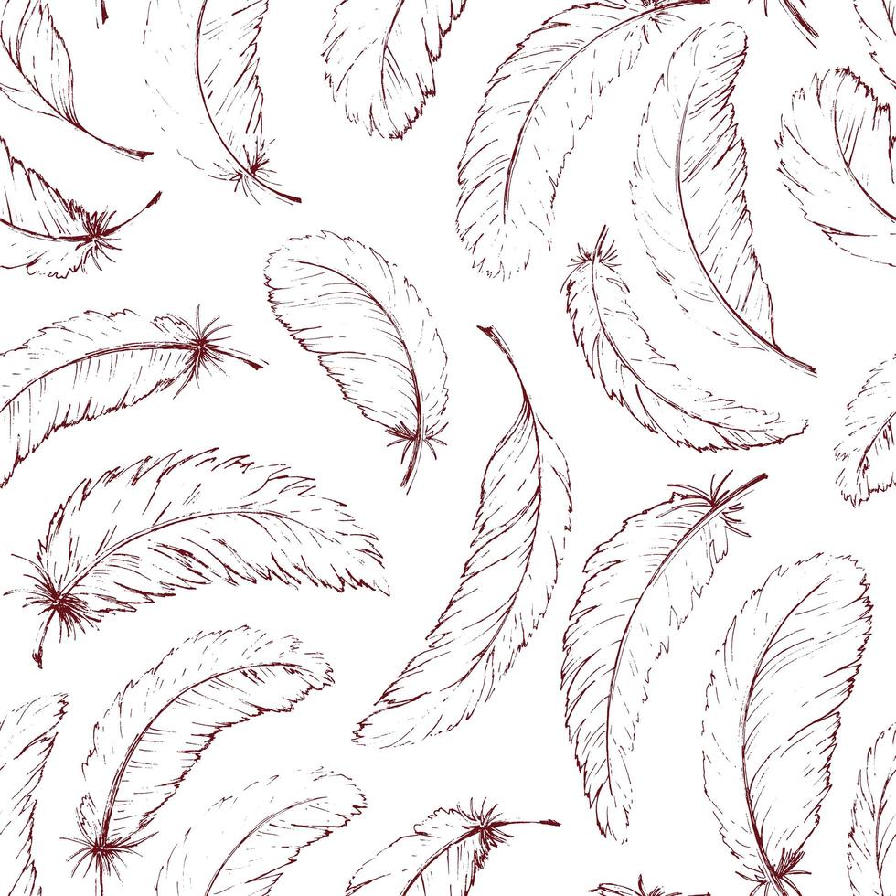 Hand drawn feathers pattern vector