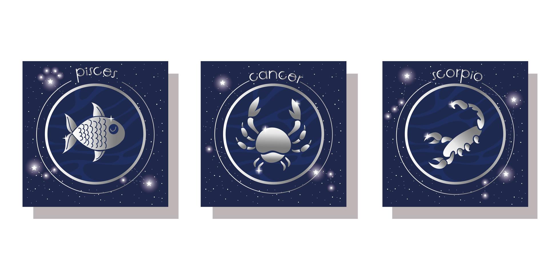 conjunto de signos del zodíaco conjunto de iconos vector