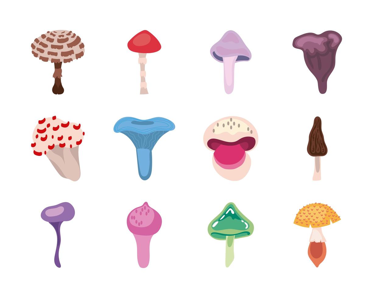 Fungus and mushroom icon set vector