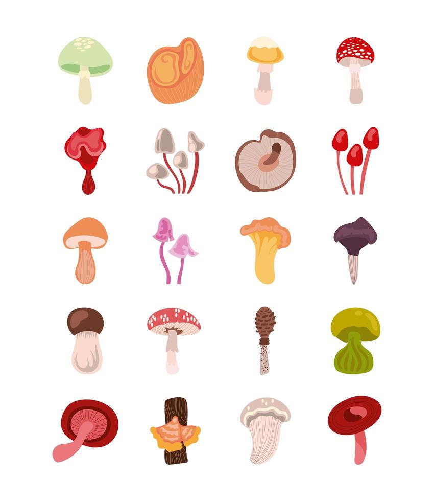 Fungus and mushroom icon set vector