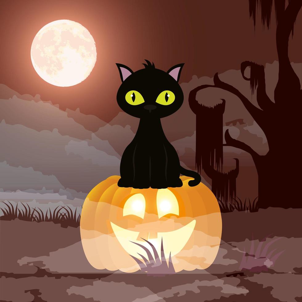 Halloween dark night scene with pumpkin and cat vector