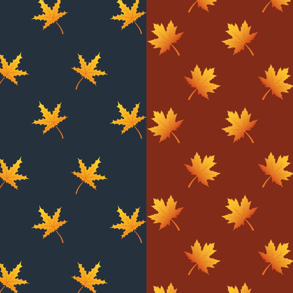 hojas de otoño y conjunto de fondo de patrón de follaje vector