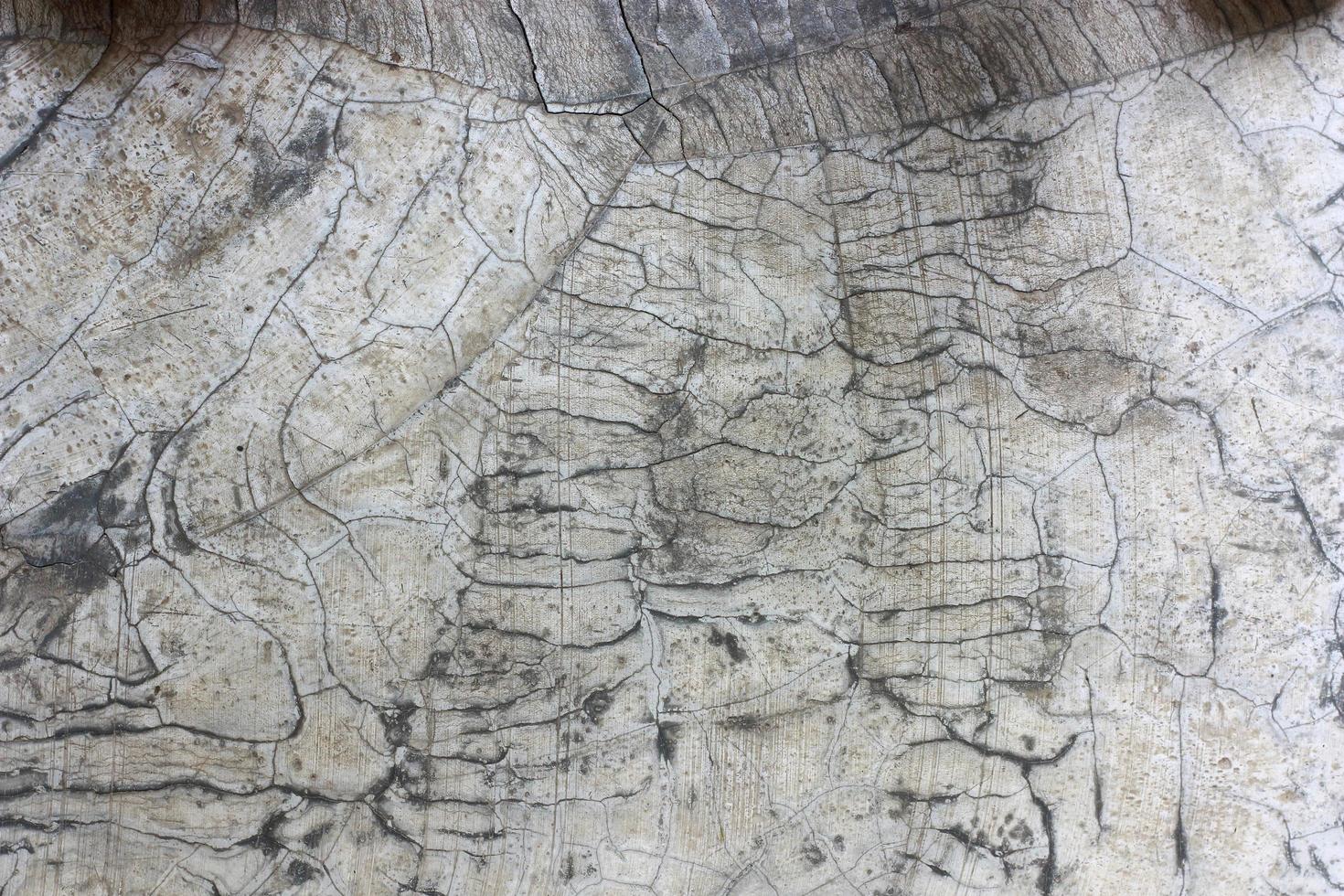 Cracked gray stone photo