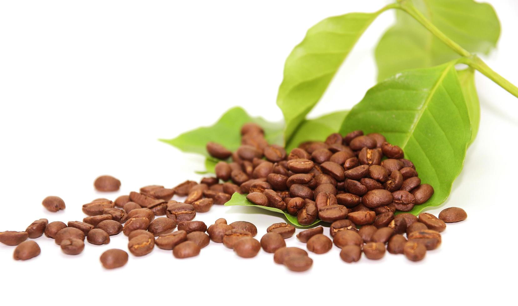 Pile of coffee beans with leaves photo