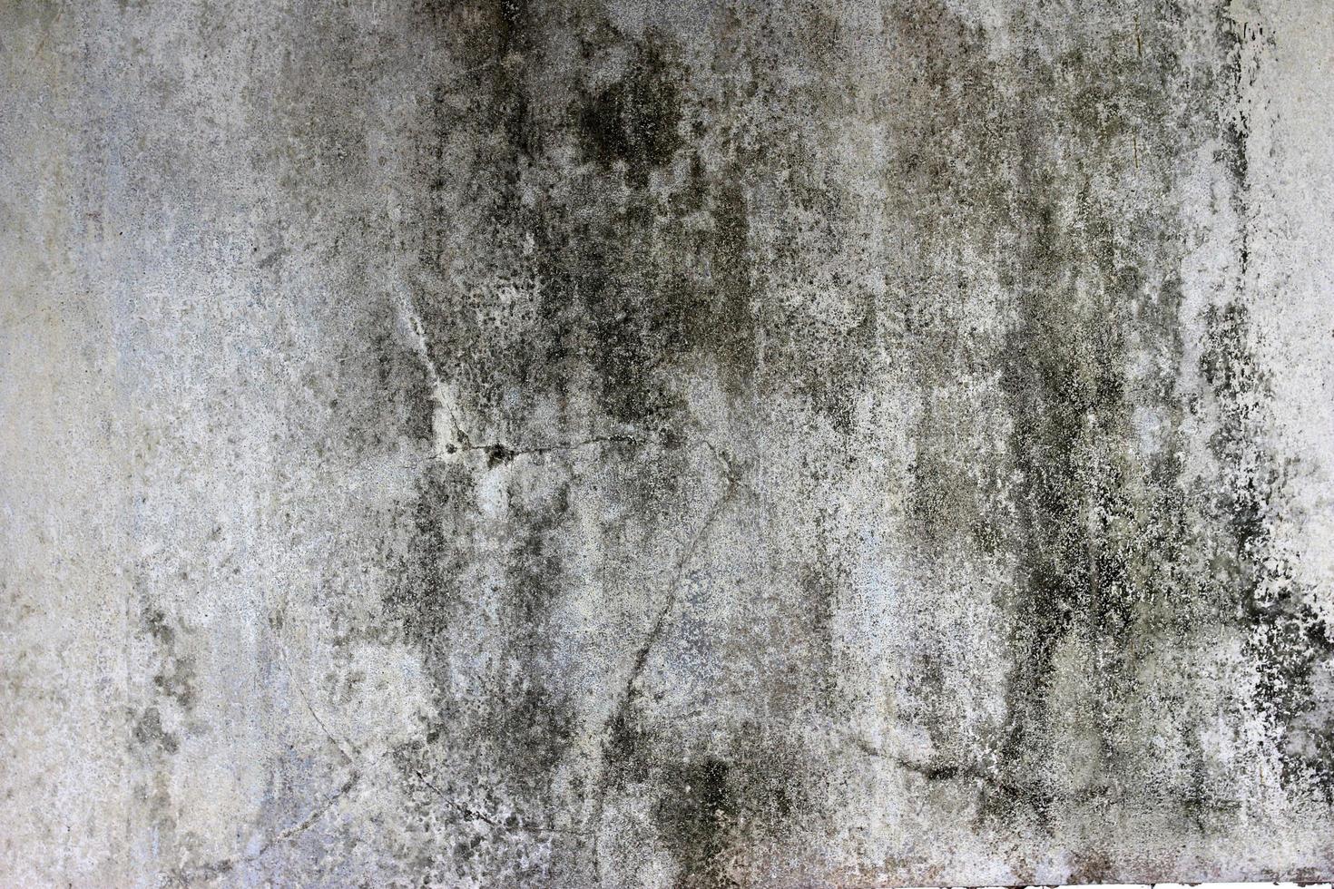 Concrete wall texture photo