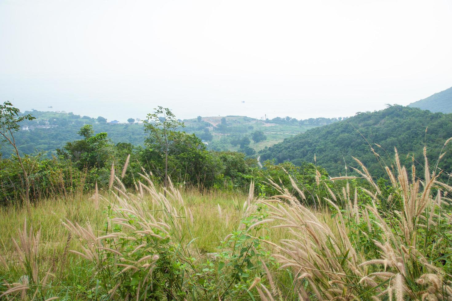 paisaje en tailandia foto