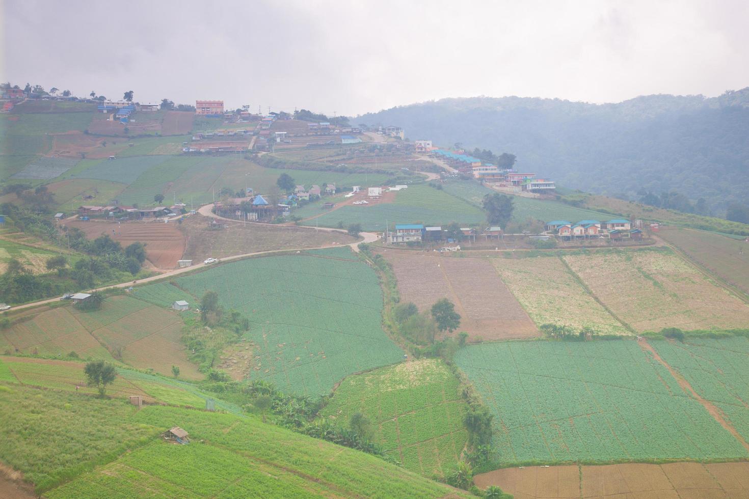 Farms in the mountains in Thailand photo