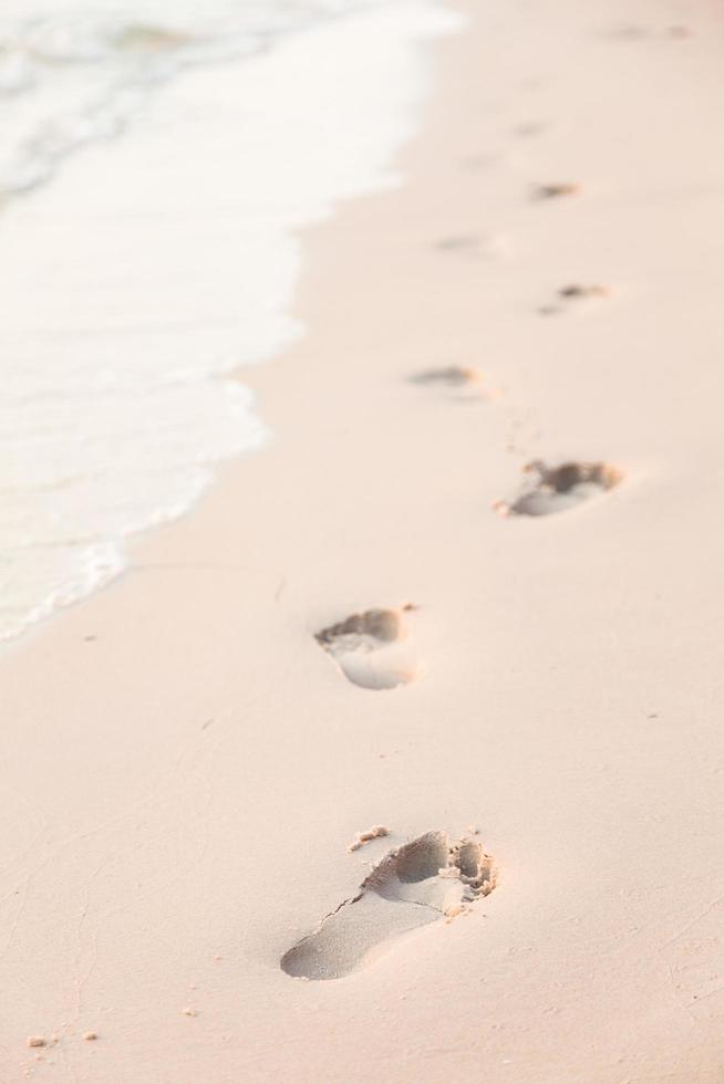 Footprints in the sand on the beach photo