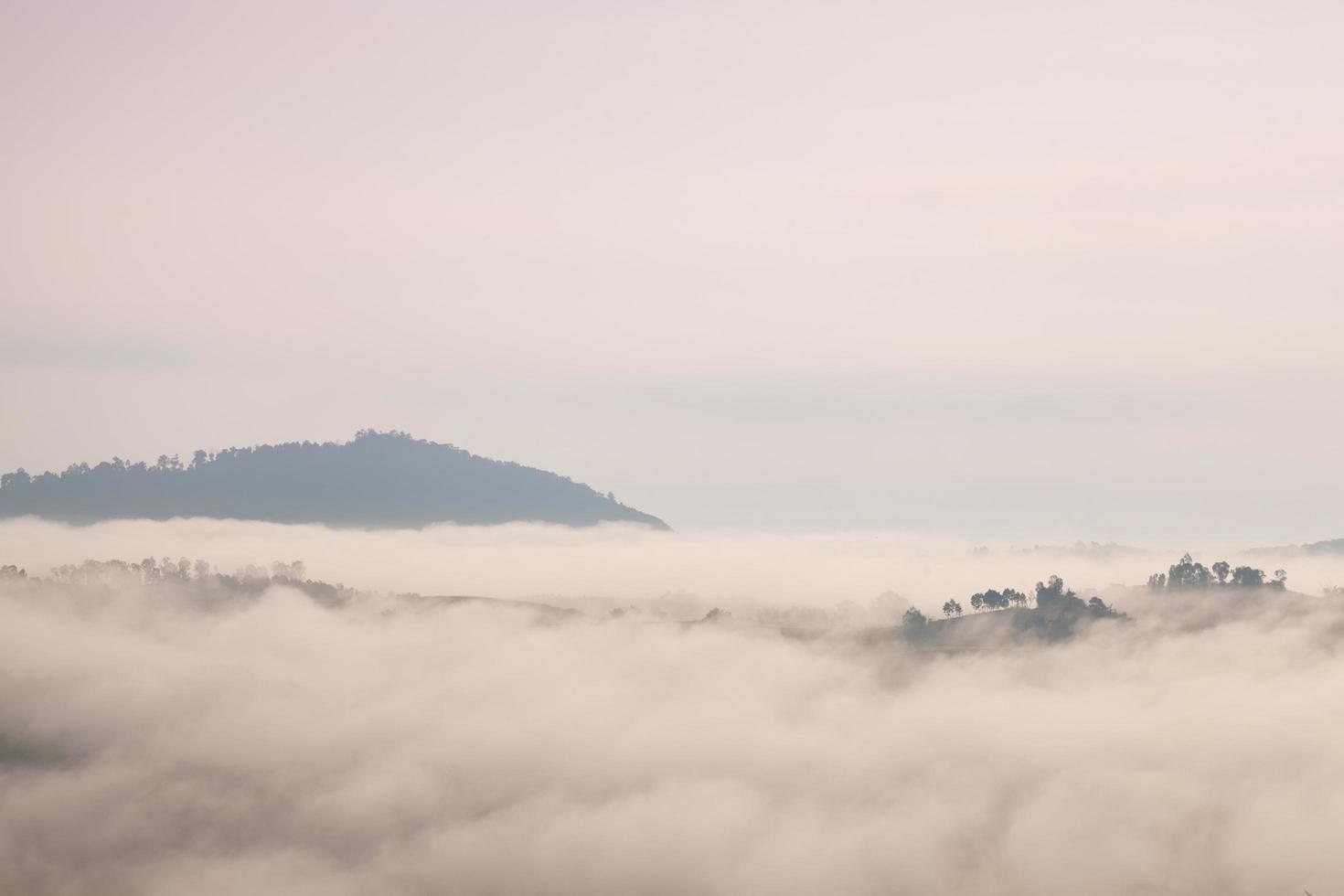 montañas y bosques cubiertos de niebla foto