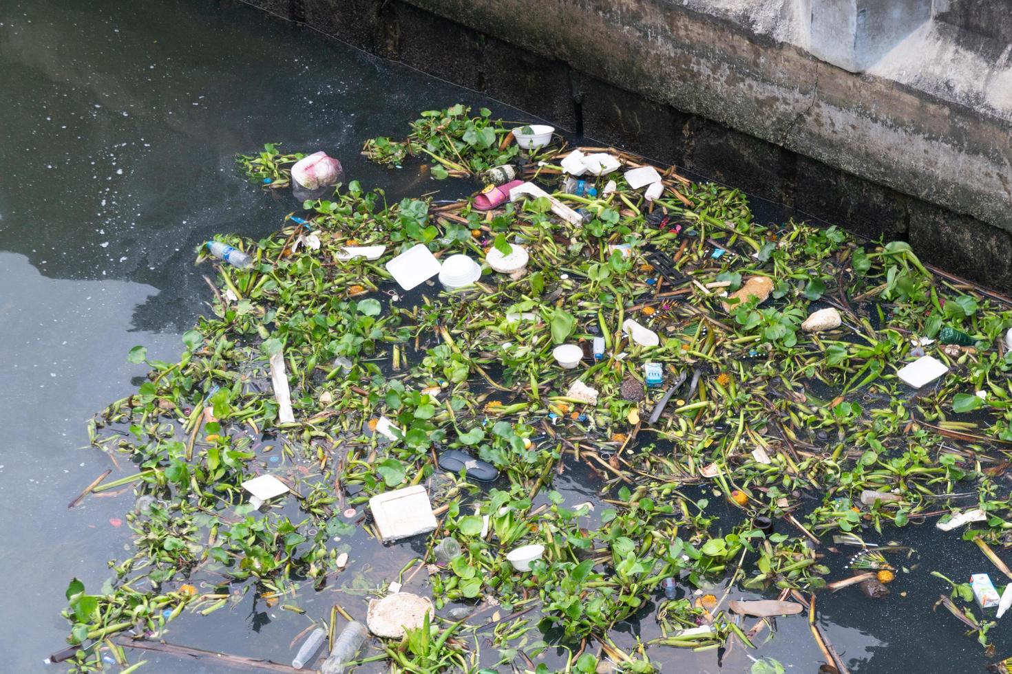 Garbage and weeds in the river in Bangkok photo