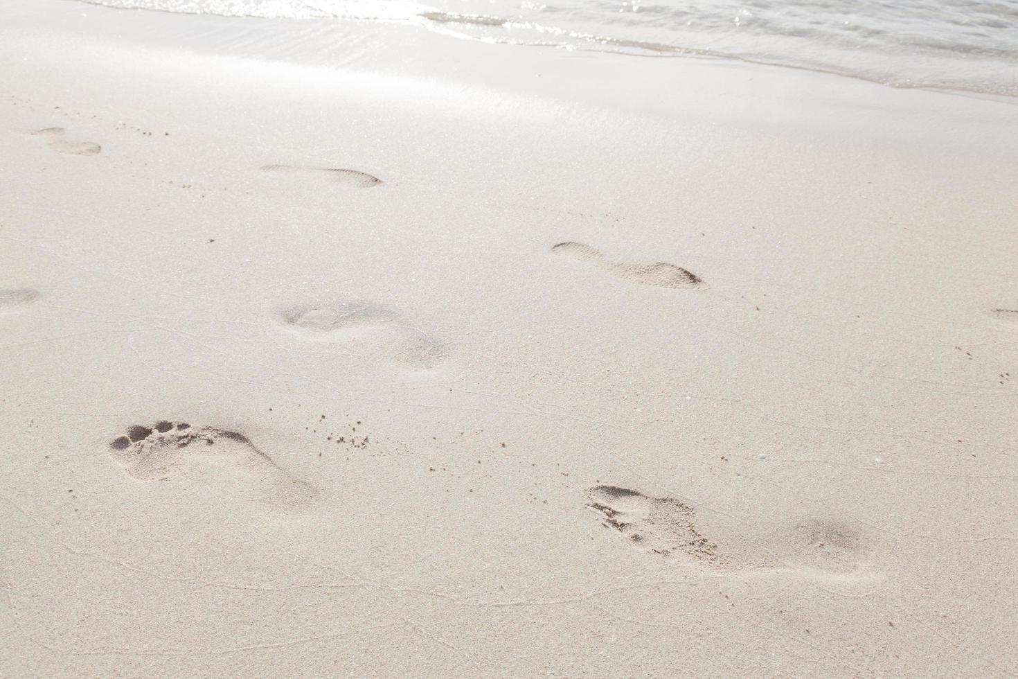 Footprints in the sand on the beach photo