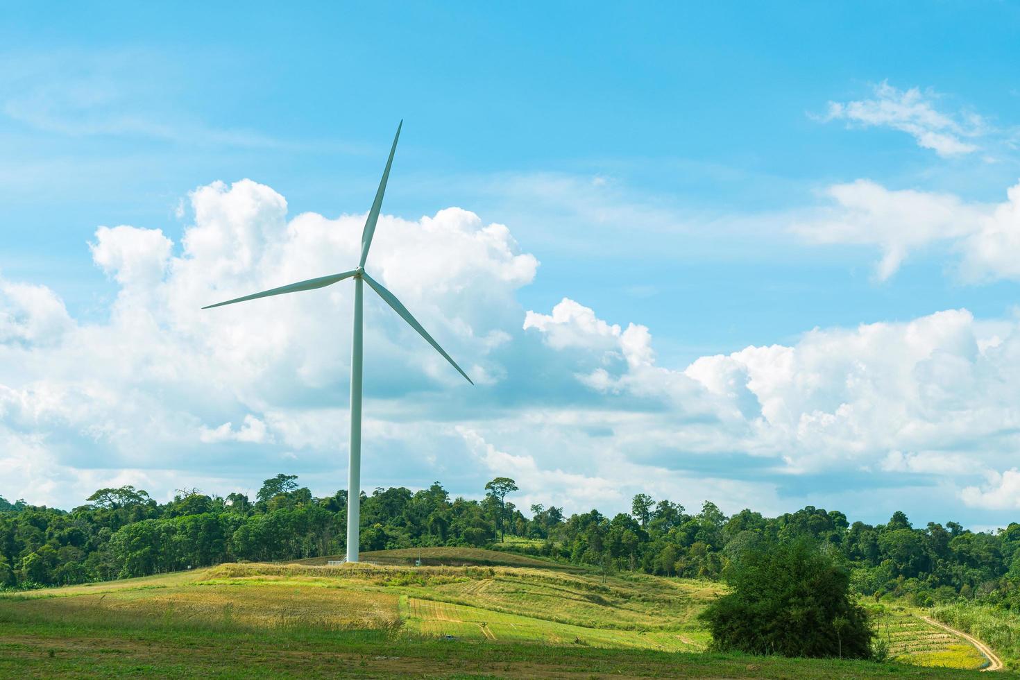 Wind turbine on the meadow photo