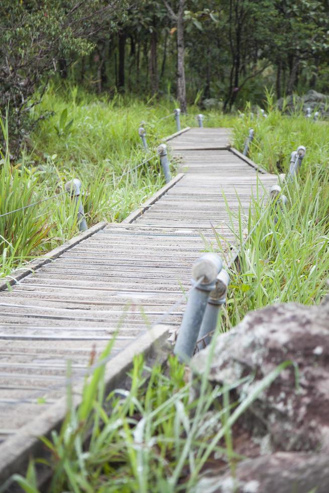 Walkway leading to the mountain photo