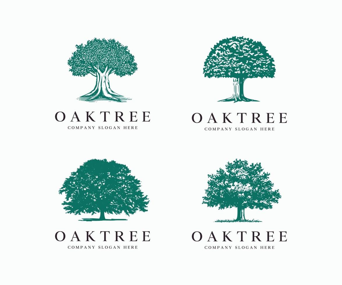 Plantilla de ilustración de vector de icono de logotipo de silueta de árbol de roble
