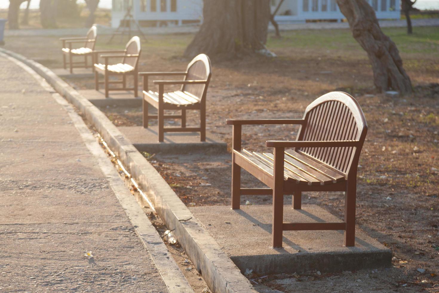 Benches under the tree photo