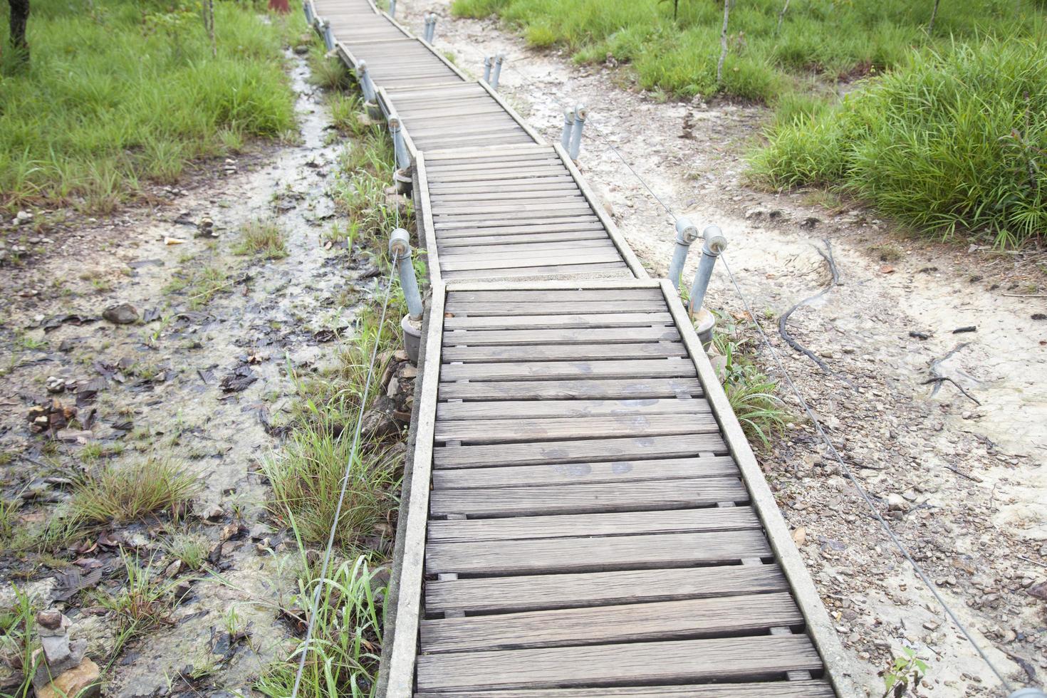 pasarela que conduce a la montaña foto