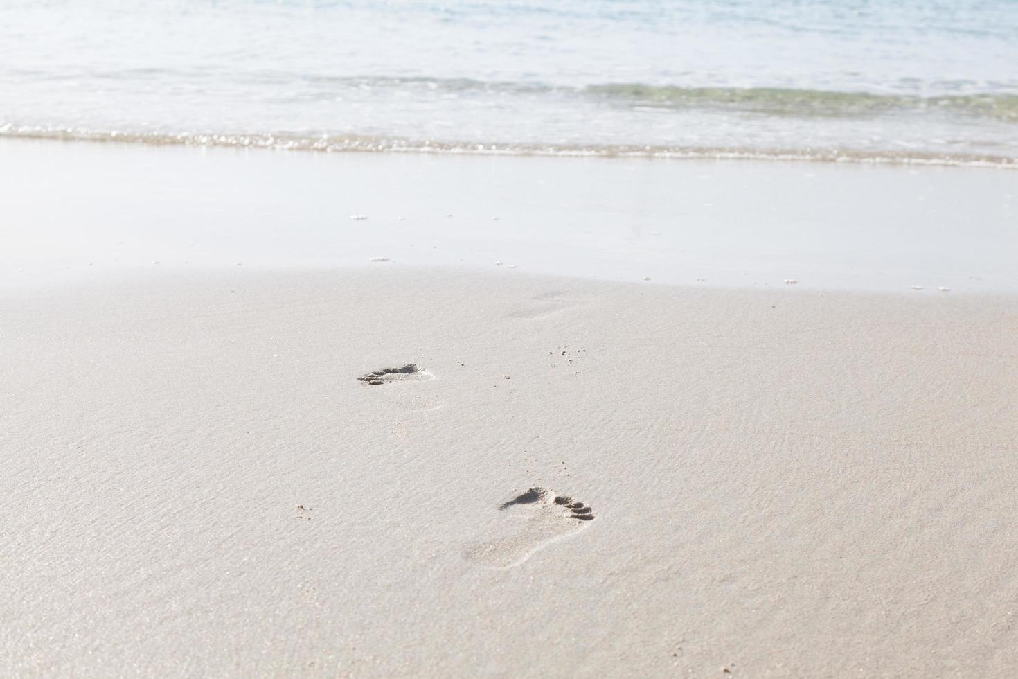 Footprints in the sand on the beach photo