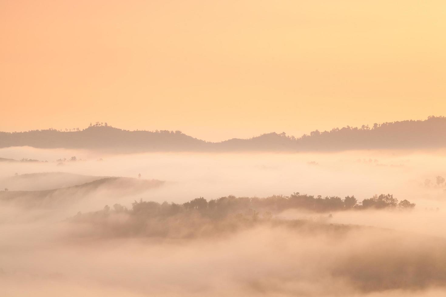 montañas y bosques cubiertos de niebla foto