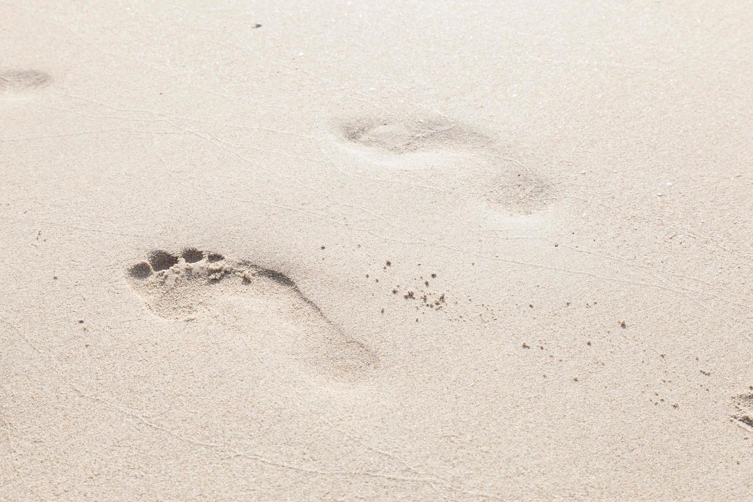Footprints in the sand on the beach photo