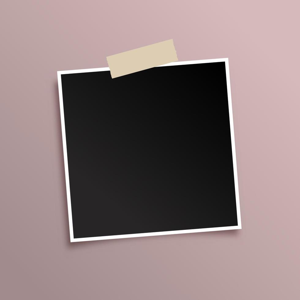 blank photo display background vector