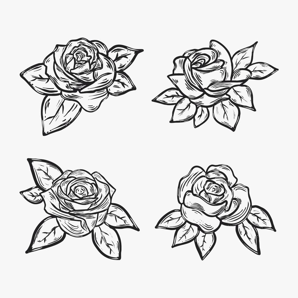 Set of rose illustration vector