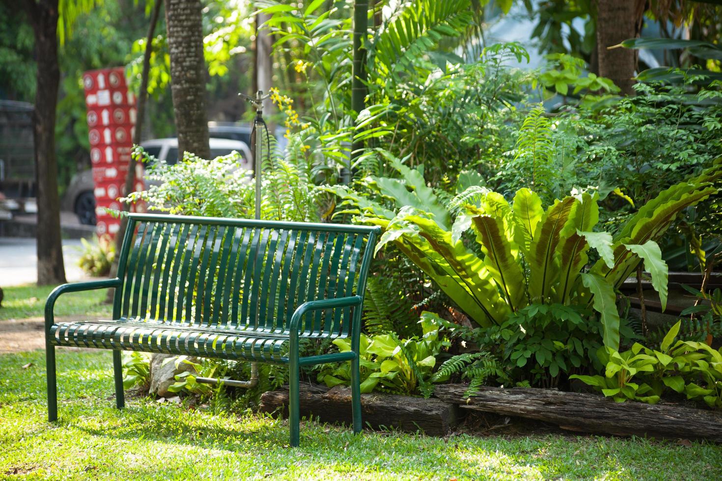 Bench in the park photo