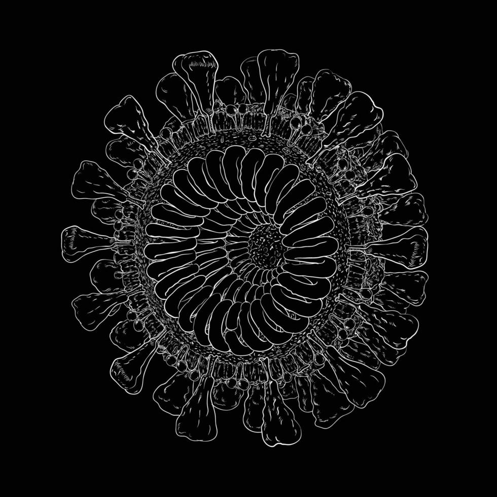 Line art Coronavirus-19 on black background vector