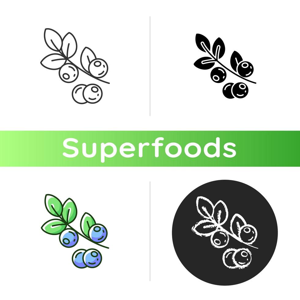 Blueberries organic icon vector