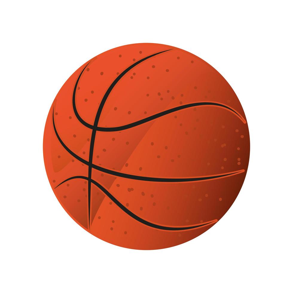 basketball on white background vector