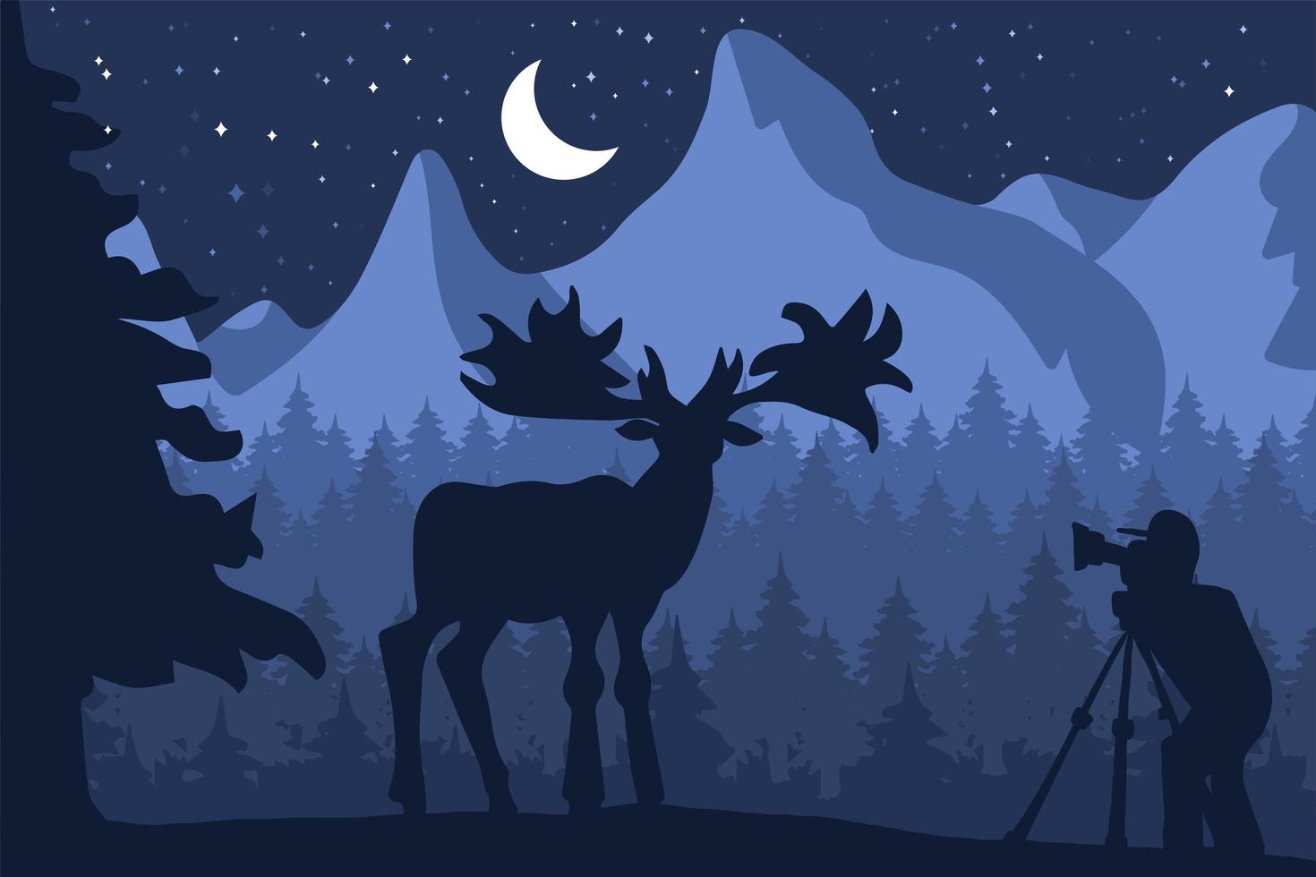 Photographer photographs deer in nature vector