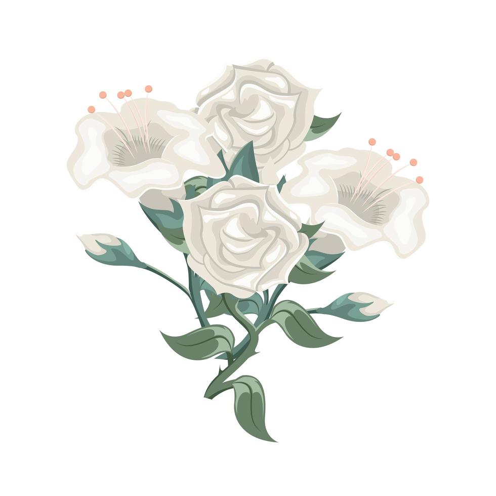 Set of white roses and tulips. Flower arrangement vector