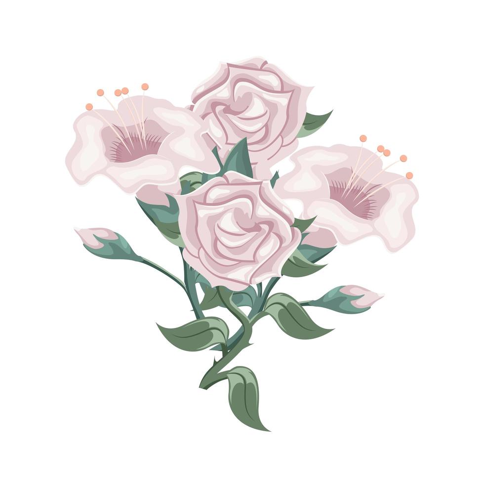 conjunto de rosas púrpuras y tulipanes. arreglo floral vector