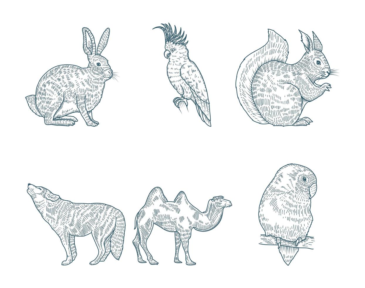 Hand drawn animal set vector